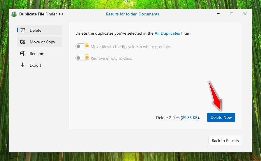 Delete Duplicate Files With Duplicate File Finder ++ in Windows 11
